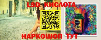 spice Обнинск