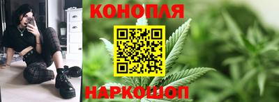 spice Обнинск