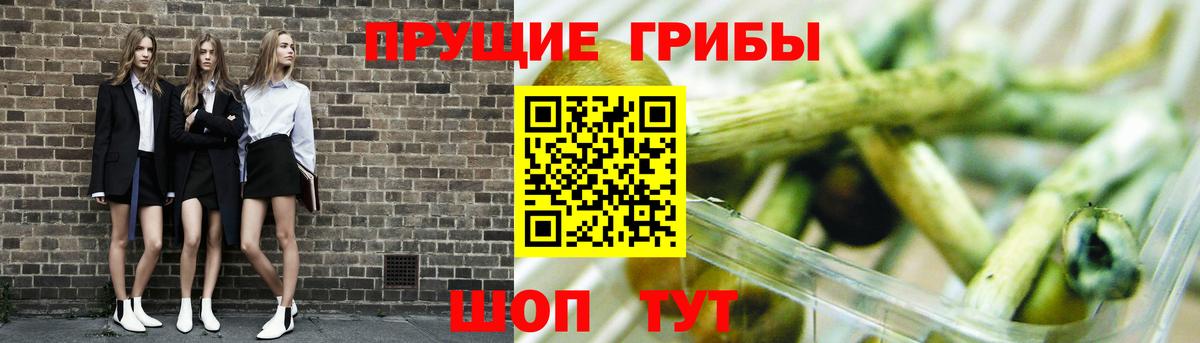 Псилоцибиновые грибы Cubensis  Псилоцибиновые грибы ЛСД  Обнинск  Вход с VPN 